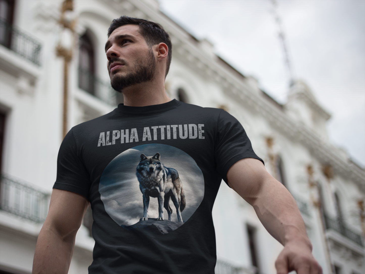 ALPHA ATTITUDE Men's Designer Tee - Moonlit Mountain Apparel